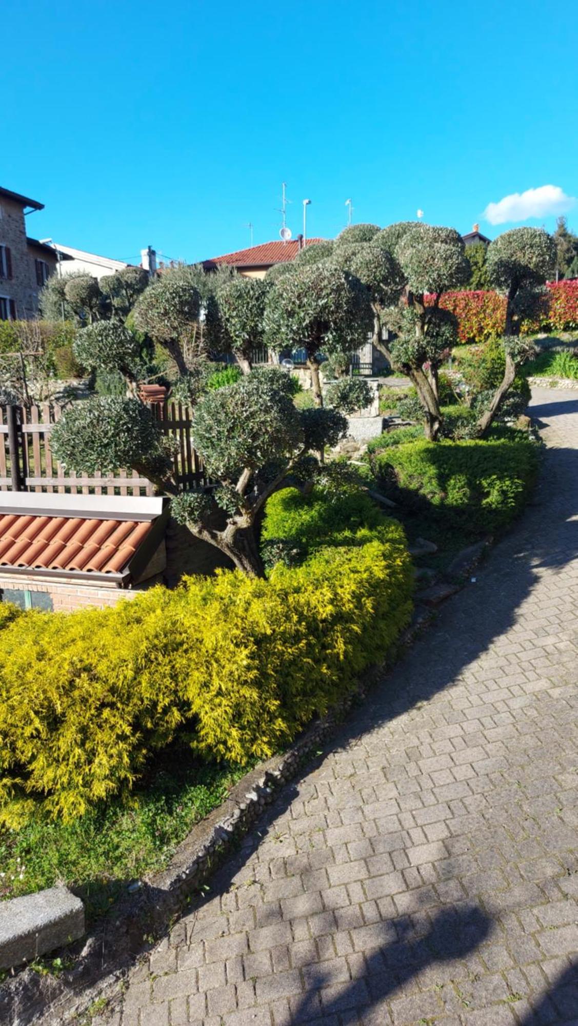 Al Vecchio Lavatoio Hotel Colle Brianza Eksteriør billede